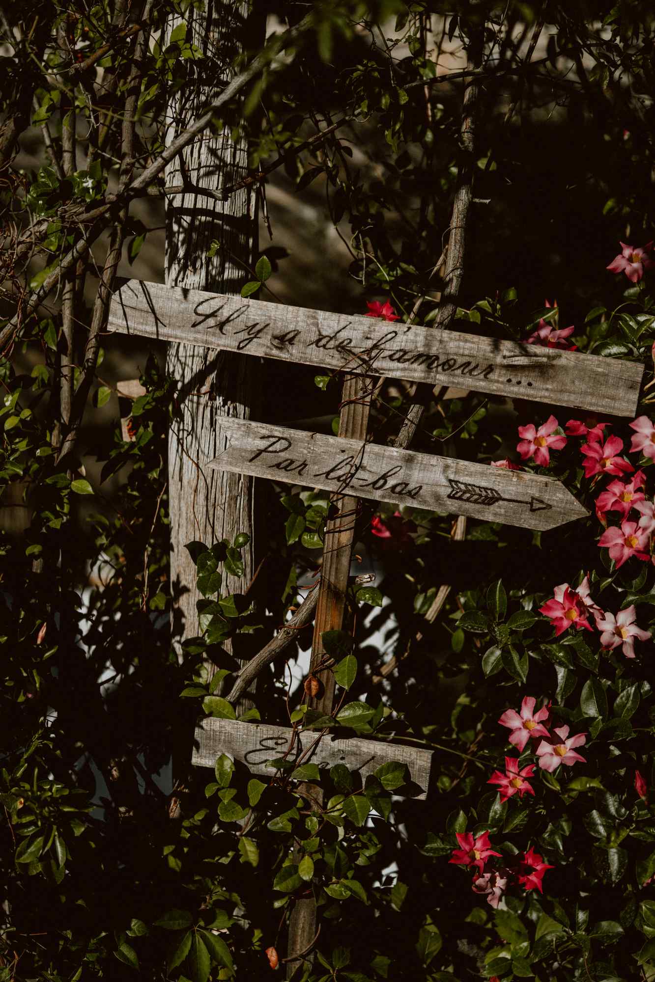 bryllup oslo fotograph norway