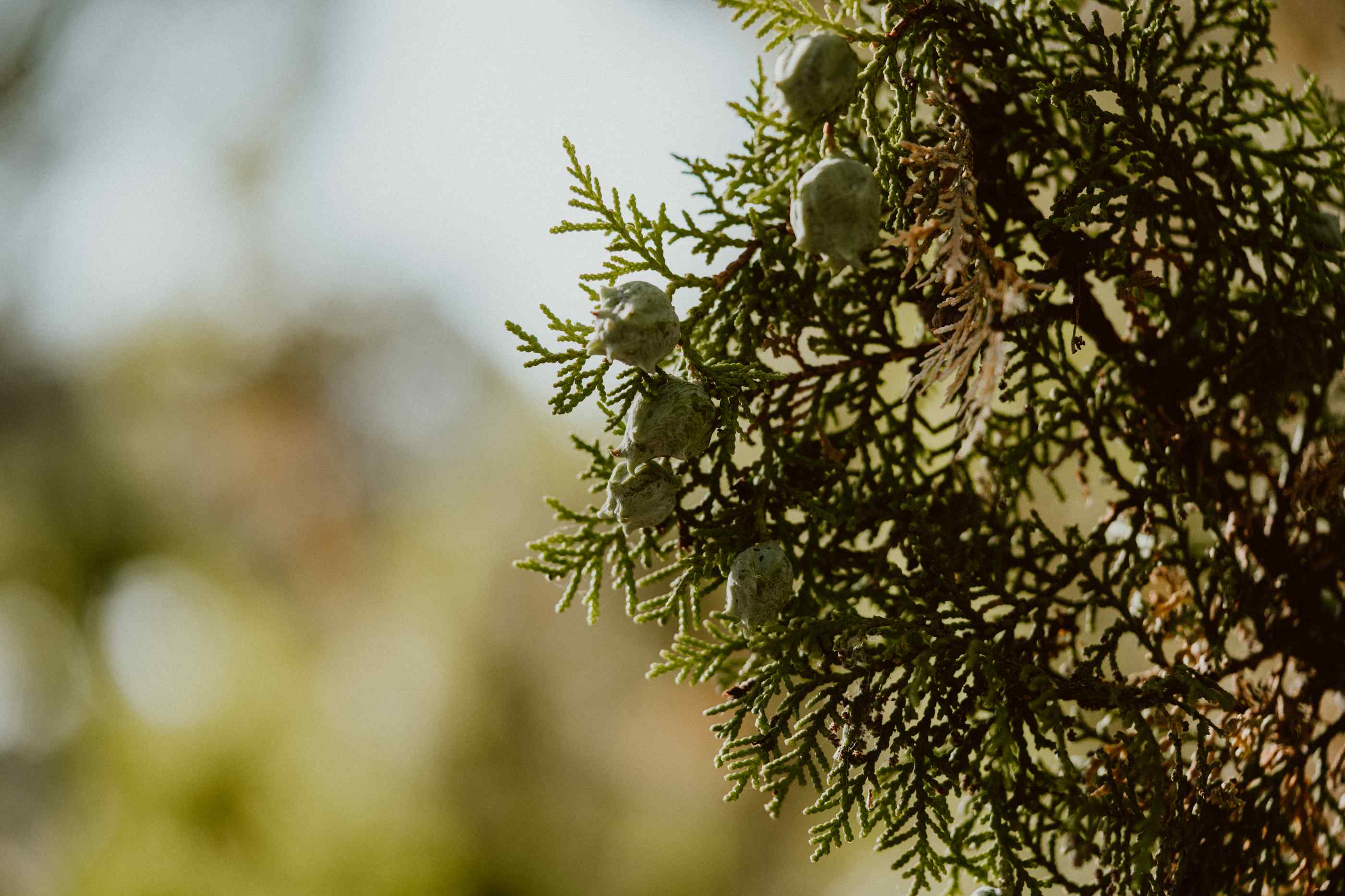 bryllup oslo fotograph norway