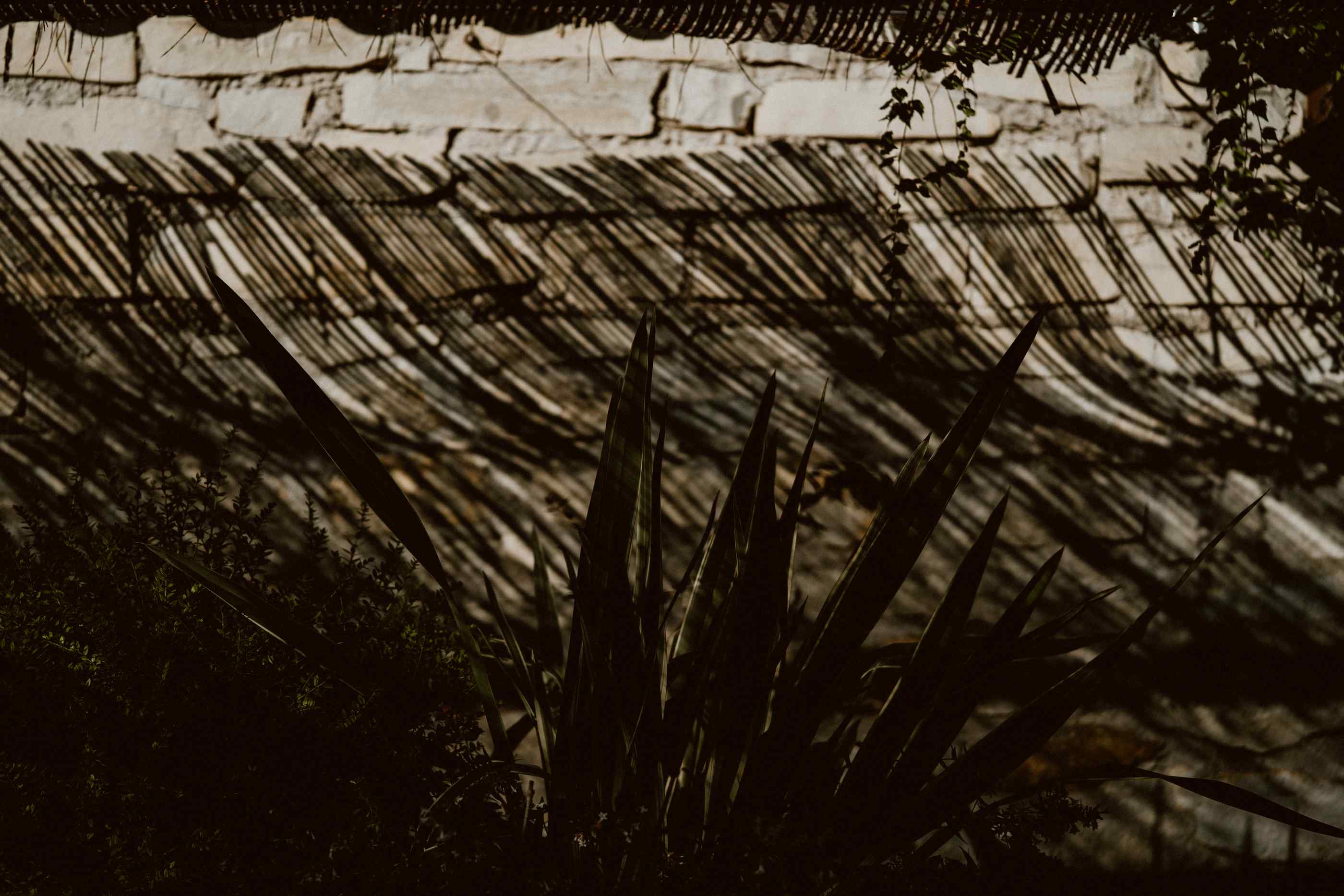 bryllup oslo fotograph norway