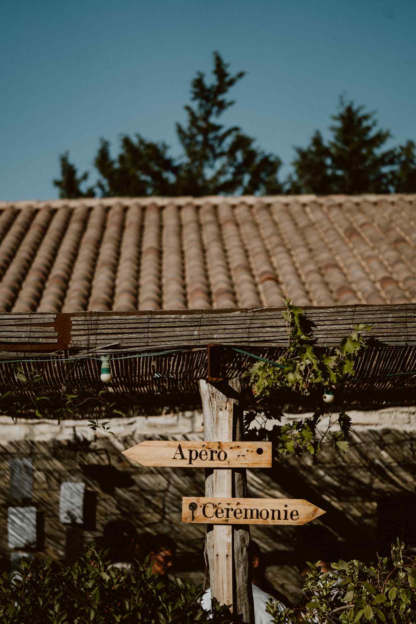 bryllup oslo fotograph norway