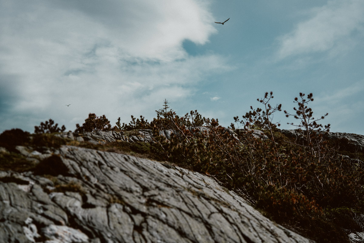 bryllup oslo fotograph norway