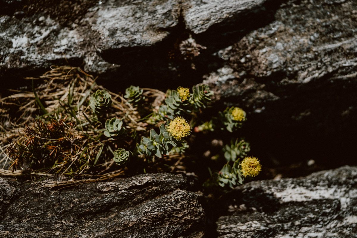 bryllup oslo fotograph norway